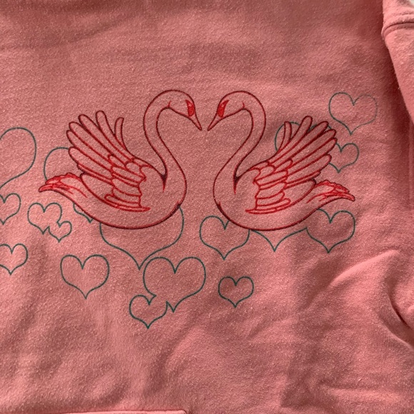 Urban Outfitters S coral Swan hoodie sweatshirt - Picture 2 of 7